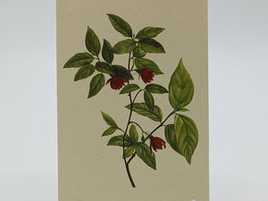 Postkarte A6