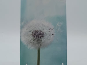 Postkarte A6