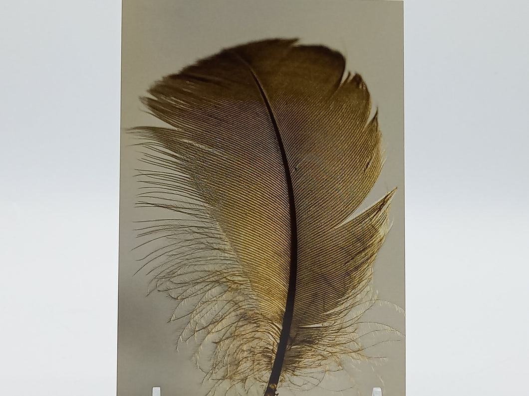 Postkarte A6