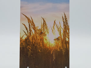 Postkarte A6