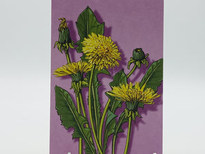 Postkarte A6